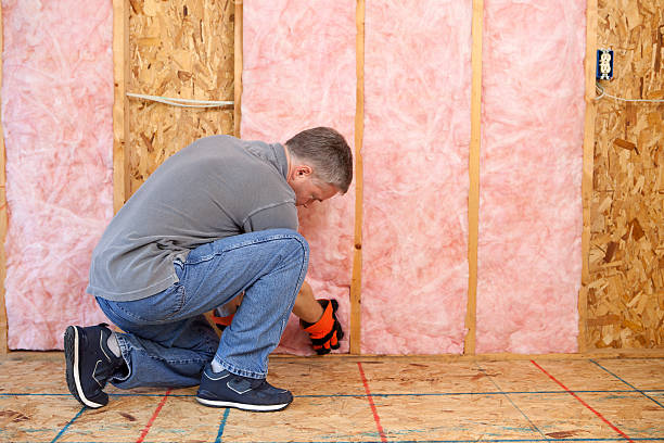 Best Insulation Replacement Services  in Tuscarawas, OH